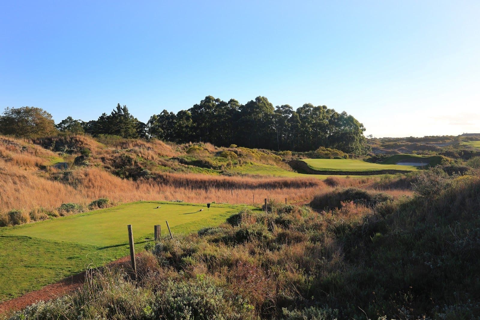 Fancourt