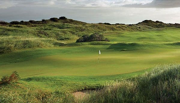 St Francis Links